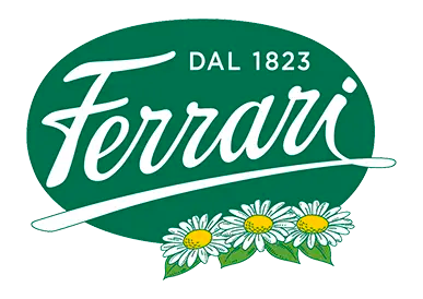 logo amadori